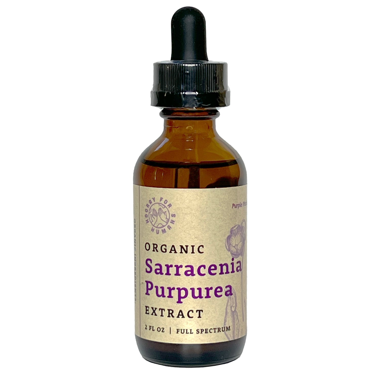 Sarracenia Purpurea Extract