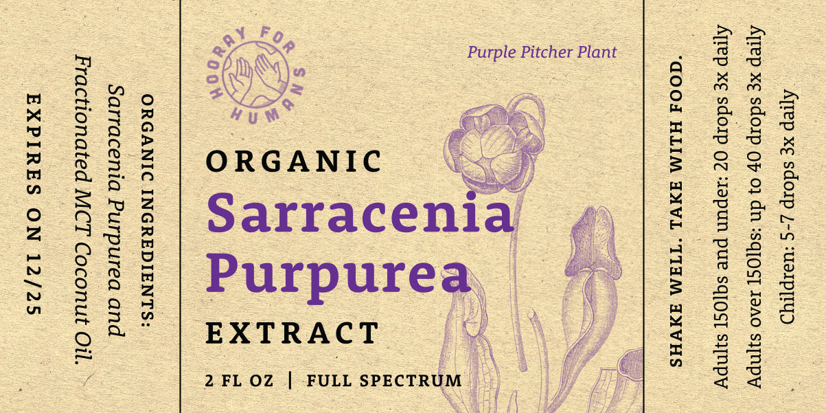 Organic Sarracenia Purpurea Extract (Purple Pitcher Plant)